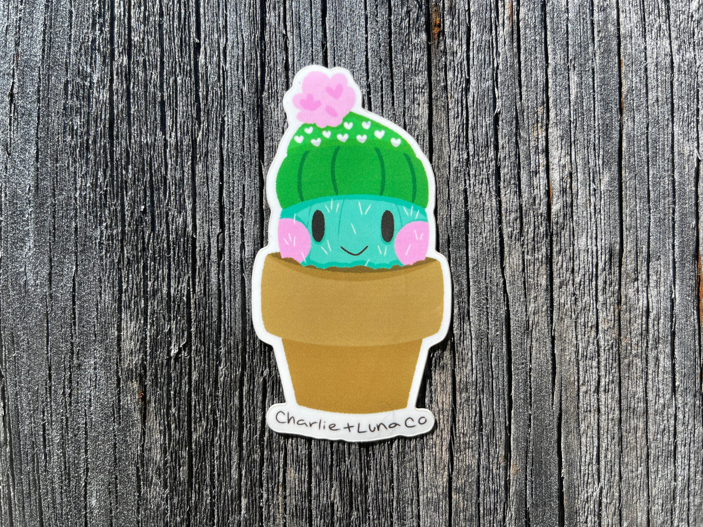 Cactus sticker